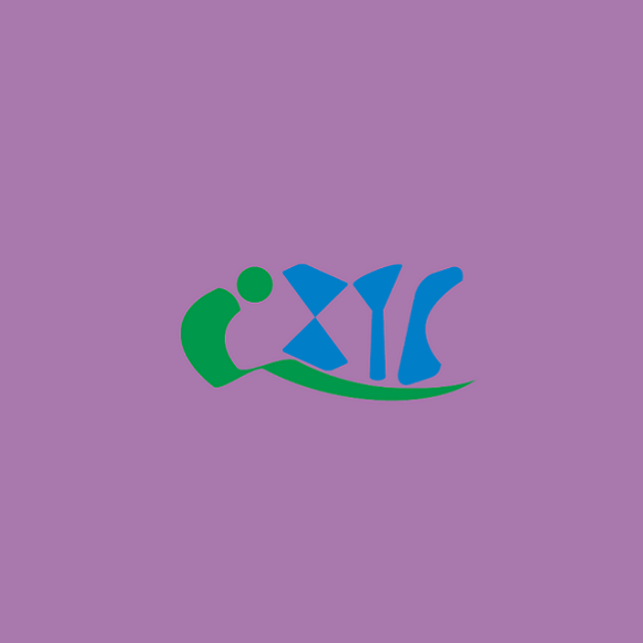 上海國(guó)際智慧公交技術(shù)裝備展覽會(huì)-交通展會(huì)介紹